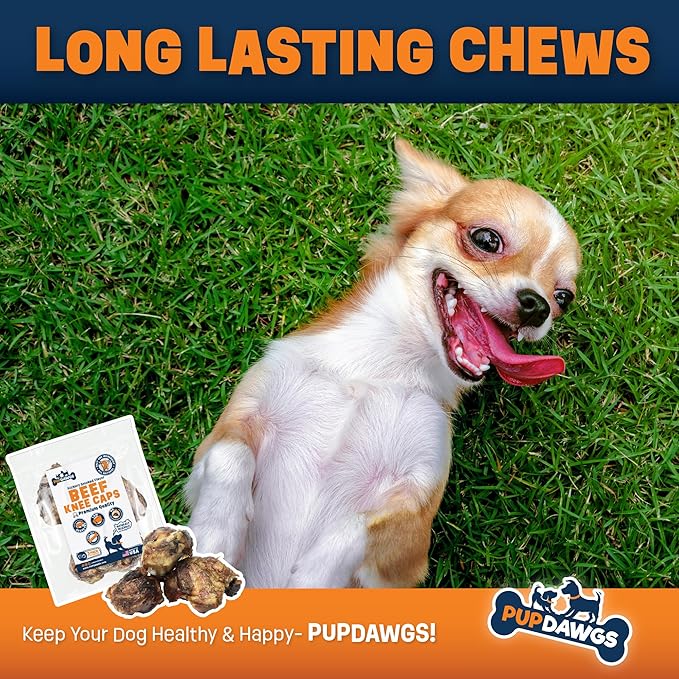 Single Ingredient Dog Bone Made in USA - Beef Knee Caps - 100% Natural Dog Bones for Aggressive Chewers - from USDA Inspected Beef - Hickory Smoked - Individually Wrapped (10 Piece Pack)