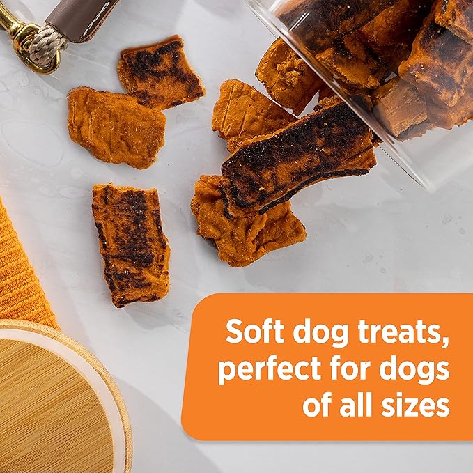 Rachael Ray Nutrish Turkey Bites Real Meat Grain Free Dog Treats, Turkey Recipe with Hickory Smoked Bacon Flavor, 5 Ounces (Pack of 5) Packaging May Vary