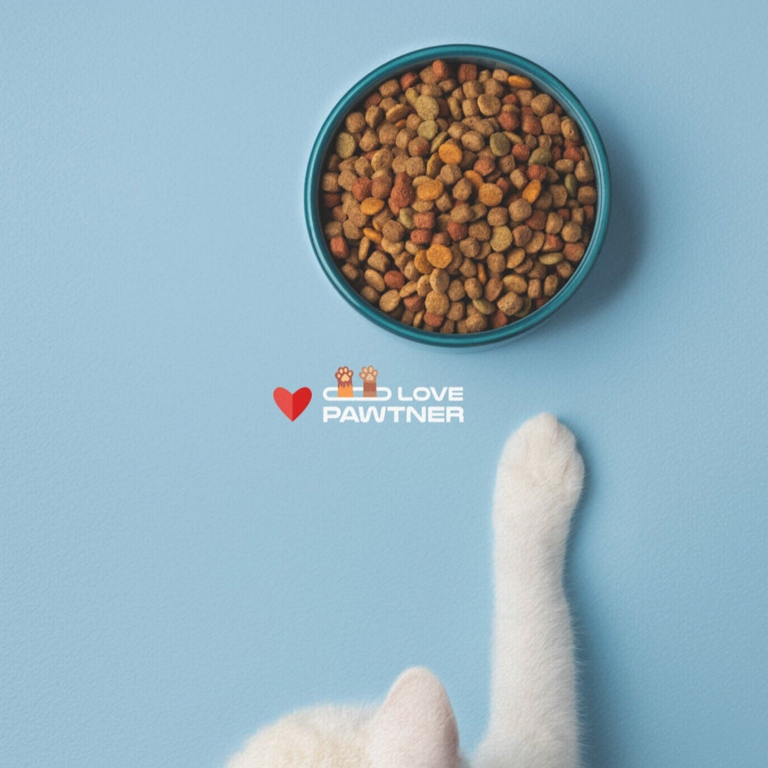 Pawtner, Cute Pet Mat for Cats and Dogs, Personalized Feeding Station, Ideal Pet Lover Gift, Home Decor, Pet Accessory, Pet Mat (18" x 24")