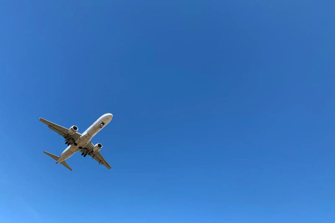 Air Travel Tips: Flying with Your Pet Stress-Free