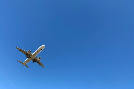 Air Travel Tips: Flying with Your Pet Stress-Free
