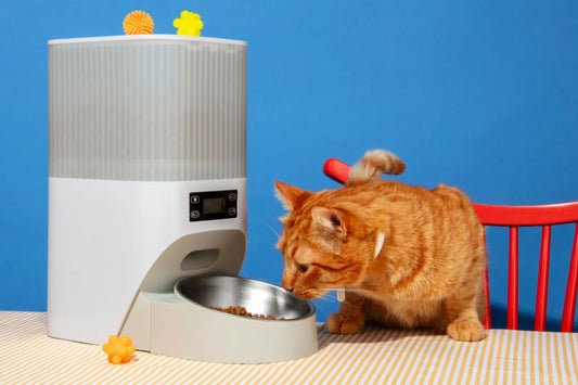 How to Create a Pet Feeding Station That Works for You
