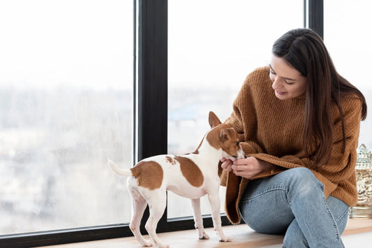 Indoor Activities to Keep Pets Entertained During Bad Weather