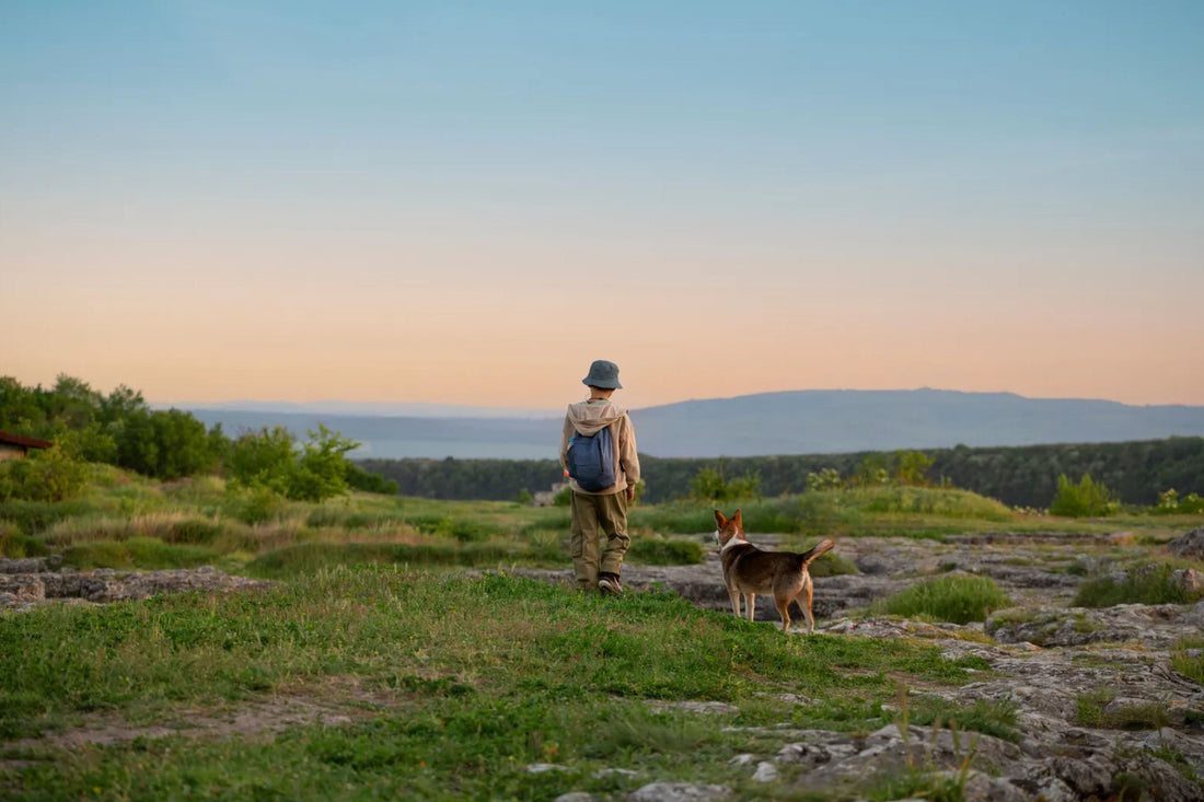 Pet-Friendly Hiking Trails Across the United States