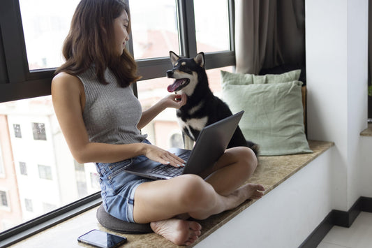 Pet-Proofing Your Home: What Every Owner Should Know