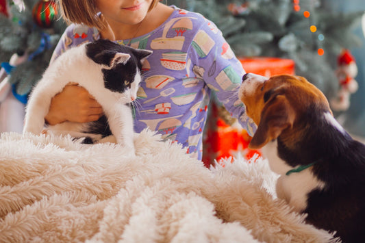 Seasonal Pet Care: Preparing Your Pets for Summer Heat