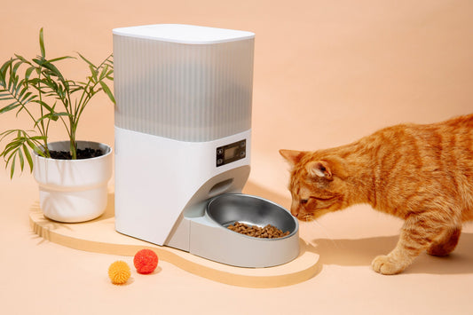 Smart Pet Products Worth the Investment in 2025