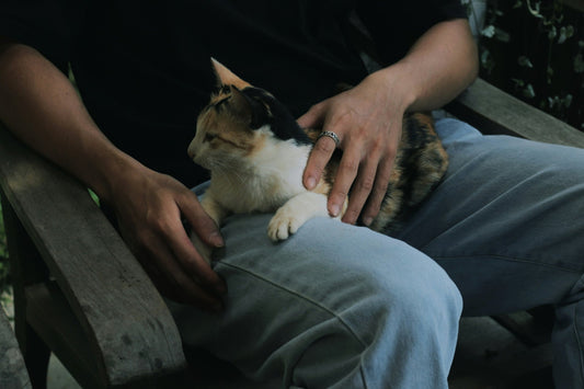 The Science Behind the Human-Pet Bond: Why We Love Our Pets