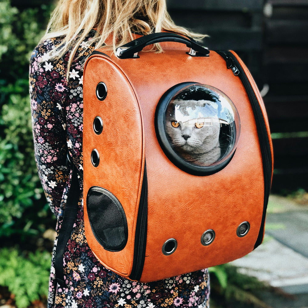 Cat Backpacks & Baskets