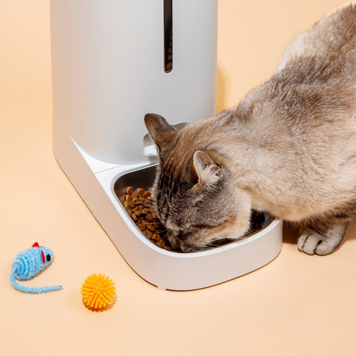 Cat Food Storage & Bowls