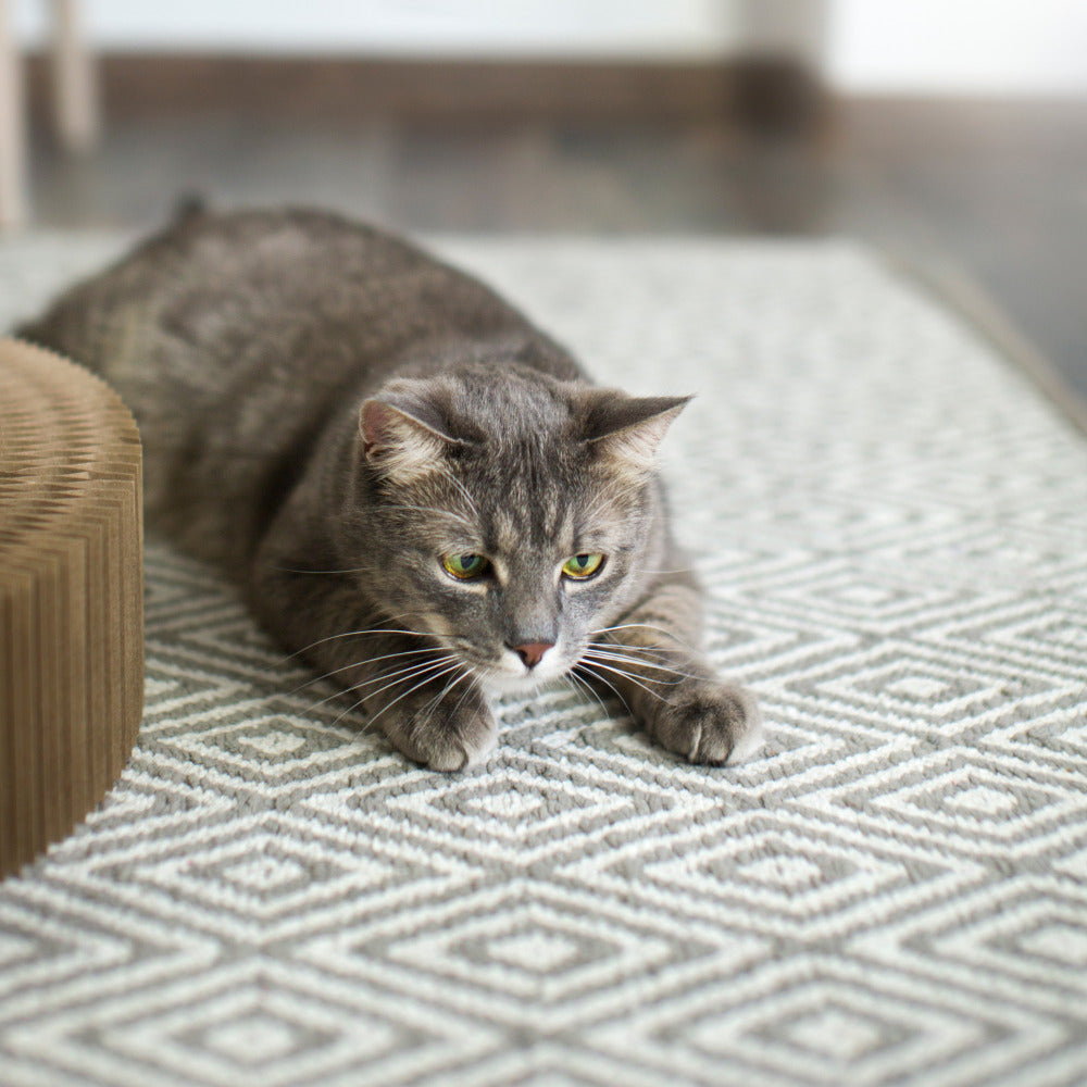 Cat Mats