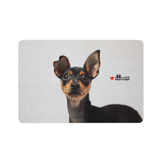 Pawtner, Stylish Pet Food Mat, Cat Food Mat, Dog Feeding Mat, Pet Lover Gift, Personalized Pet Mat, Unique Pet Accessories, Pet Food Mat (12" x 18")