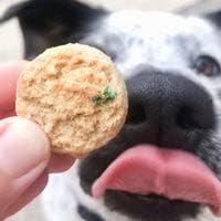 The Lazy Dog Cookie Co. - Original Pup-Pie - Happy Birthday Dog Treat for a Darling Girl with Bag of 5oz Birthday Cake Bite Mutt Mallows
