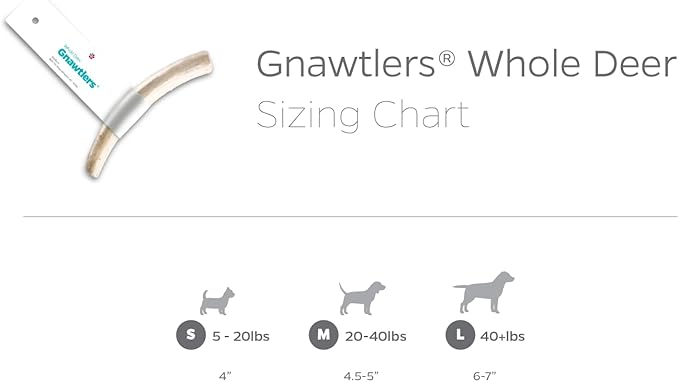 Pet Parents Gnawtlers-Premium Deer Antlers for Dogs, Naturally Shed Deer Antlers, All Natural Deer Antler Dog Chew, Selected from The Heartland Region (Small, 1 Count)