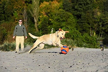 Chuckit! Kick Fetch Ball Dog Toy, Small (6 Inch)