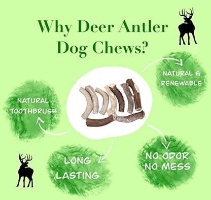 Deer Valley Dog Chews (Large 3 Pack, 6-7 Inches) Premium Deer Antler for Dogs - Ethically-Sourced and Irresistible Dog Chew Toy for Medium to Large Dog Breeds