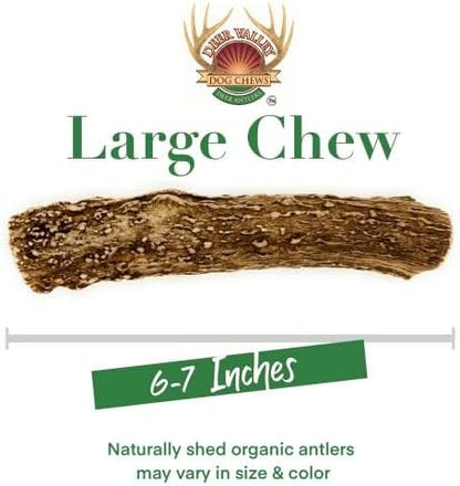 Deer Valley Chews Premium Deer Antler for Dogs - Large 6-7 Inches Long, Single Antler - All Natural Dental Treat for Teething and Chewing - Premium Grade, Naturally Shed