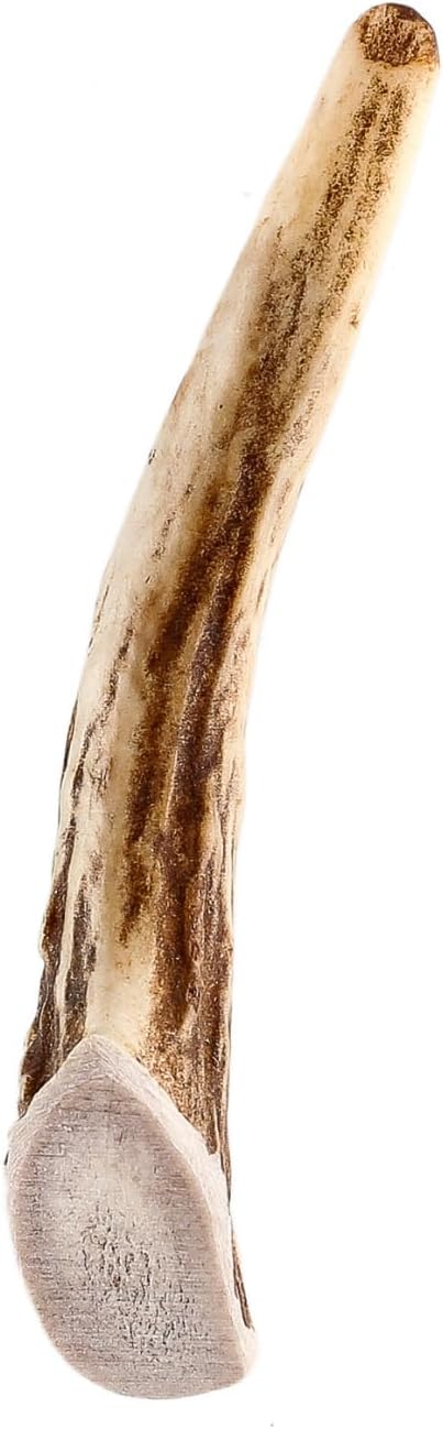 Pet Parents Gnawtlers-Premium Deer Antlers for Dogs, Naturally Shed Deer Antlers, All Natural Deer Antler Dog Chew, Selected from The Heartland Region (Small, 1 Count)