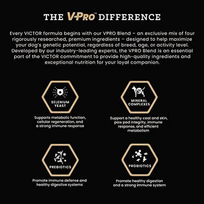 Victor Super Premium Dog Food – Performance Dry Dog Food – 26% Protein for Active Adult Dogs – Includes Glucosamine and Chondroitin for Hip and Joint Health, 40lbs