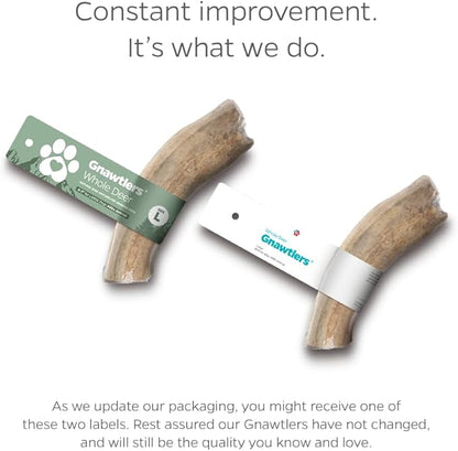 Pet Parents Gnawtlers-Premium Deer Antlers for Dogs, Naturally Shed Deer Antlers, All Natural Deer Antler Dog Chew, Selected from The Heartland Region (Small, 1 Count)
