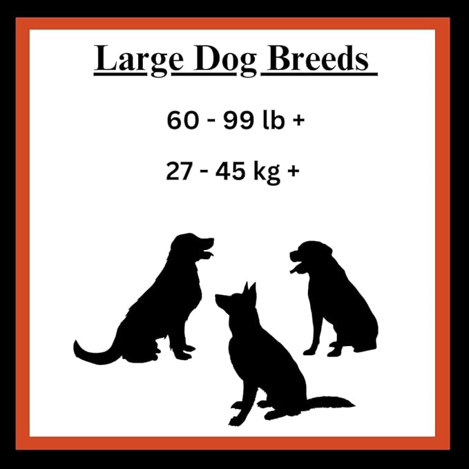 Filled Dog Bones Bundles for Large Dogs, Large Stuffed Femur Bone Bundle with 1 Dog Waste Roll, Long-Lasting Dental Treats for Aggressive Chewers (Cheese & Bacon)