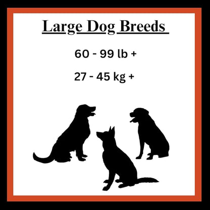 Filled Dog Bones Bundles for Large Dogs, Large Stuffed Femur Bone Bundle with 1 Dog Waste Roll, Long-Lasting Dental Treats for Aggressive Chewers (Cheese & Bacon)