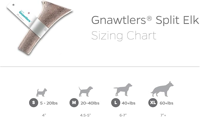 Pet Parents Gnawtlers- Premium Elk Antlers for Dogs, Naturally Shed Elk Antlers for Dogs Heartland Regions (Extra Large)