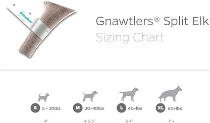 Pet Parents Gnawtlers- Premium Elk Antlers for Dogs, Naturally Shed Elk Antlers for Dogs Heartland Regions (Extra Large)