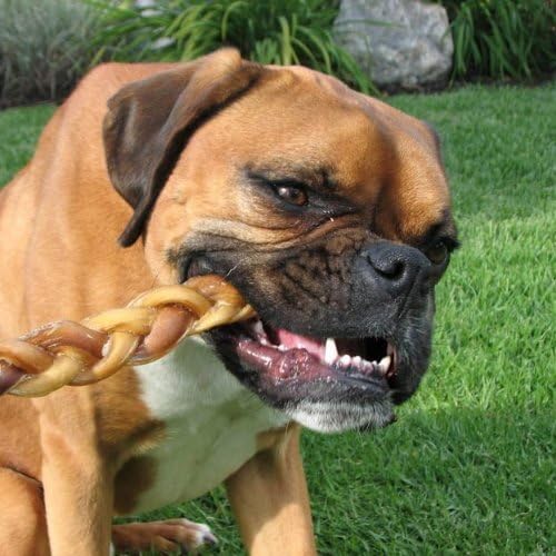 Pawstruck Natural 7” Braided Bully Sticks for Dogs - Tough Long Lasting, Rawhide Free, Low Odor, Healthy Single Ingredient Chew Treat for Aggressive Chewers - 25 Count - Packaging May Vary