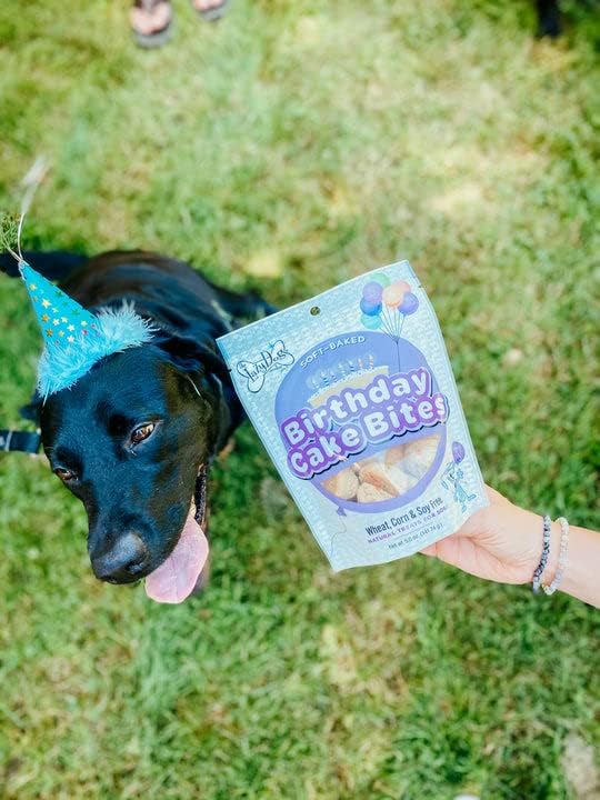 The Lazy Dog Cookie Co. - Original Pup-Pie - Happy Birthday Dog Treat for a Darling Girl with Bag of 5oz Birthday Cake Bite Mutt Mallows