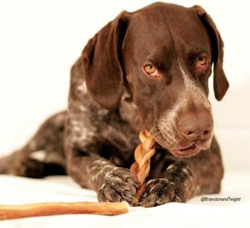 Pawstruck Natural 7” Braided Bully Sticks for Dogs - Tough Long Lasting, Rawhide Free, Low Odor, Healthy Single Ingredient Chew Treat for Aggressive Chewers - 25 Count - Packaging May Vary