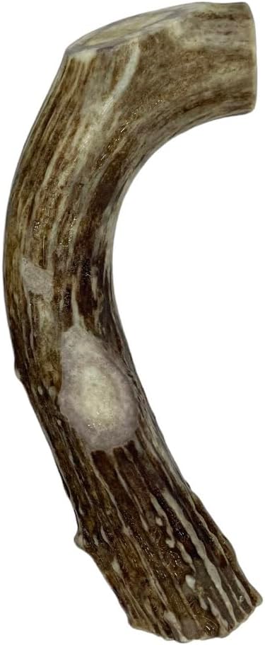 Deer Valley Chews Premium Deer Antler for Dogs - Large 6-7 Inches Long, Single Antler - All Natural Dental Treat for Teething and Chewing - Premium Grade, Naturally Shed