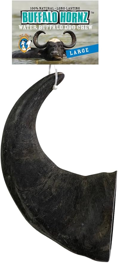 QT Dog - Buffalo Horn Large