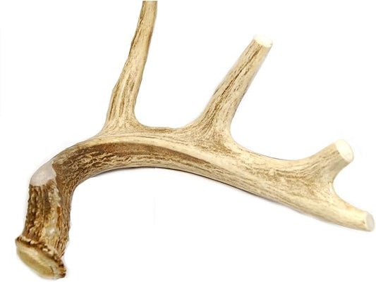 Extra Large Whole Deer Antler Dog Chew - for Large Dogs and Puppies