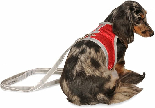 Athletic Mesh Dog Harness for Teacup, Teacup 3 - Small Dogs and Puppies | Reflective Trim and Comfortable Velcro Closure