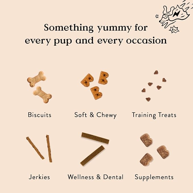 Bocce's Bakery All-Natural, Small Batch, Organic Dog Treats, Pumpk'n Harvest Biscuits, Wheat-Free, Limited-Ingredient, Made in The USA with 100% Recyclable Packaging, 12 oz Bag (DG-BC-PKH)
