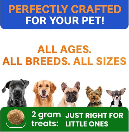 BARK&SPARK Dog Probiotics & Digestive Enzymes (Gut Health) Allergy & Itchy Skin - Pet Diarrhea Gas Treatment Upset Stomach Relief, Digestion Health Prebiotic Supplement Tummy Treat (180Ct Chicken)