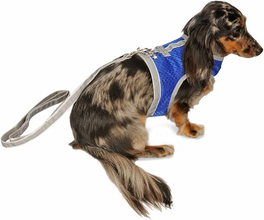 Athletic Mesh Dog Harness for Teacup, Teacup 1 - Small Dogs and Puppies | Reflective Trim and Comfortable Velcro Closure