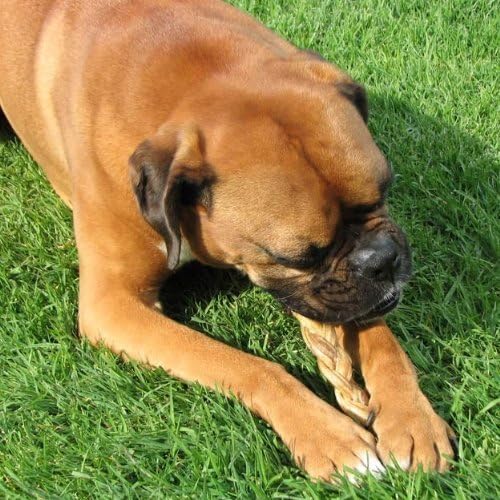 Pawstruck Natural 7” Braided Bully Sticks for Dogs - Tough Long Lasting, Rawhide Free, Low Odor, Healthy Single Ingredient Chew Treat for Aggressive Chewers - 25 Count - Packaging May Vary