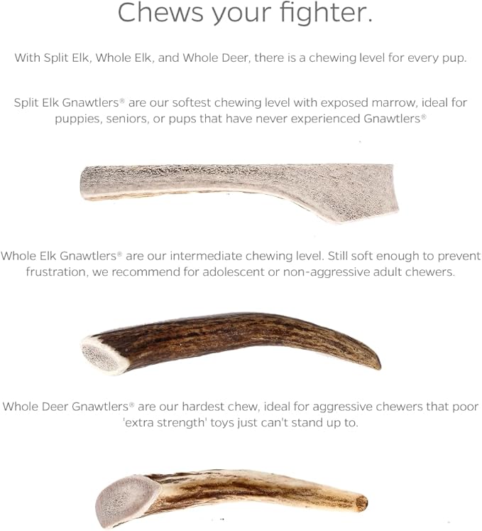 Pet Parents Gnawtlers- Premium Elk Antlers for Dogs, Naturally Shed Elk Antlers for Dogs Heartland Regions (Extra Large)