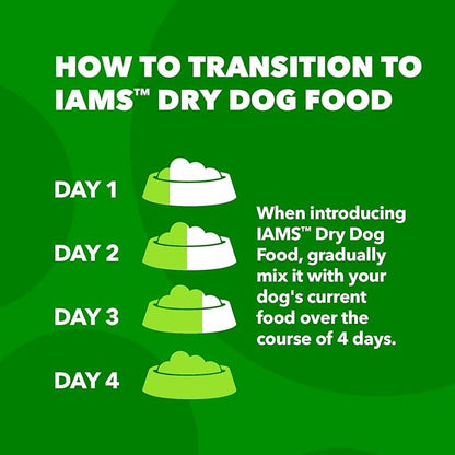 IAMS Minichunks Adult Dry Dog Food Lamb & Rice Recipe Dog Kibble, 30 lb. Bag