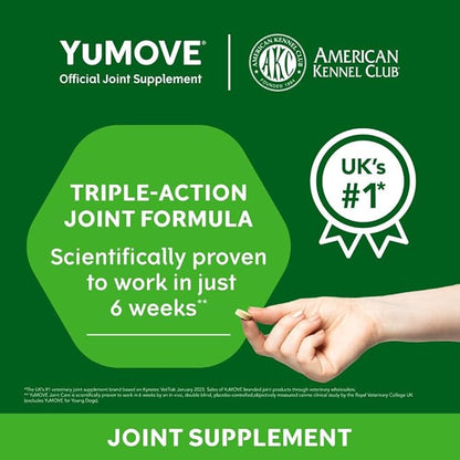 Hip and Joint Supplement - 240 Tablets for Dogs with Glucosamine, Chondroitin, MSM, Omega 3, Hyaluronic Acid, Green Lipped Mussel, & Fish Oil for Dogs - Joint Support Supplement - Senior Dogs
