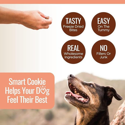 Smart Cookie Freeze Dried Salmon Bites - Single Ingredient Freeze Dried Salmon Treats for Dogs - Wild Caught Alaskan Salmon Dog Training Treats & Dog Food Topper - Made in USA - 2oz Bag, 1 Pack