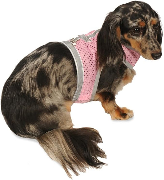 Athletic Mesh Dog Harness for Teacup, XSmall - Small Dogs and Puppies | Reflective Trim and Comfortable Velcro Closure