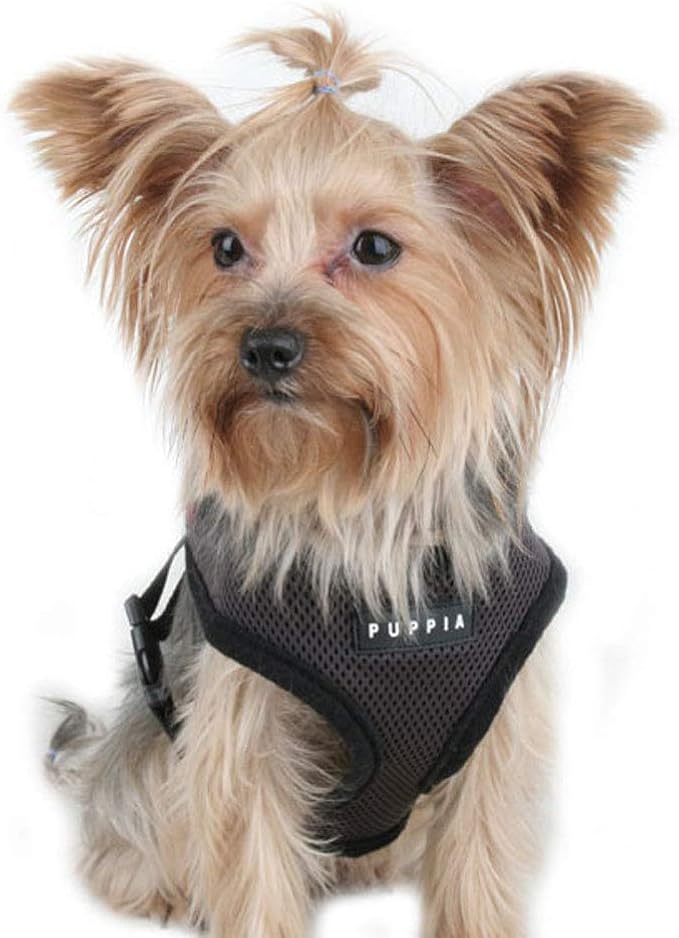 Puppia Soft Dog Harness No Choke Over-The-Head Triple Layered Breathable Mesh Adjustable Chest Belt and Quick-Release Buckle, Brown, Small (Pack of 2)