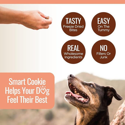 Smart Cookie Freeze Dried Salmon Bites - Single Ingredient Freeze Dried Salmon Treats for Dogs - Wild Caught Alaskan Salmon Dog Training Treats & Dog Food Topper - Made in USA - 2oz Bag, 3 Pack