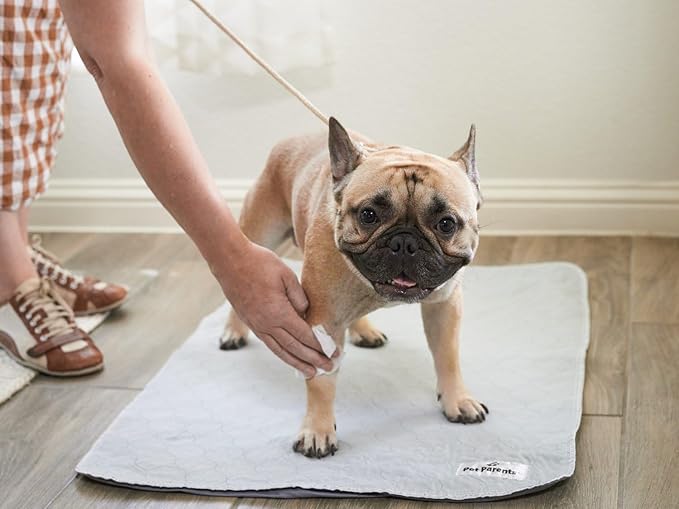 Pet Parents® Pet WiPees™ Dog All Purpose + Allergy Dog Wipes, Pet Wipes for Dogs, Puppy Wipes & Paw Wipes, Large Dog Wipes (100 Count (Pack of 2), Calming)