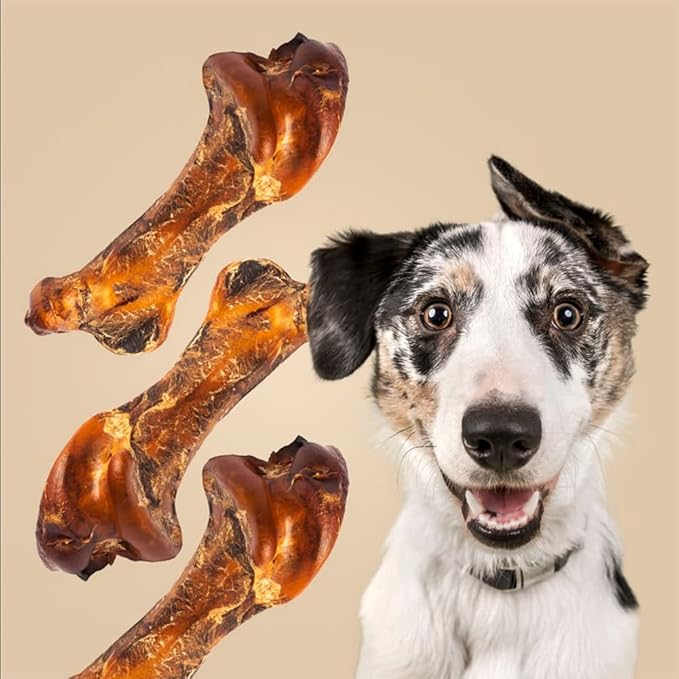 ROAM Pet Treats Boss-trich Bone Pack of 2 for Medium and Large Dogs – Long Lasting Ostrich Dog Bones