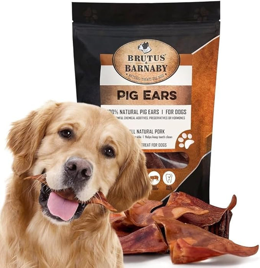 100% Natural Whole Pig Ear Dog Treat - 12 Pack Our Healthy Pig Ears Are Easy To Digest, Chemical & Hormone Free Thick Cut For Aggressive Chewers, Great Small Or Large Dogs