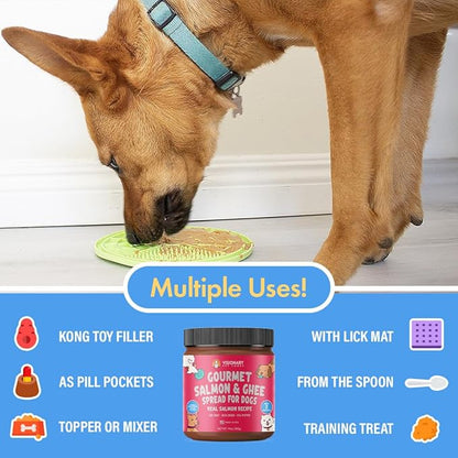 Visionary Pet Foods Salmon Meat Spread - Healthy Dog Treat - Alternative to Dog Peanut Butter, Xylitol Free, No Sugar and Filler Free - Use on Dog Lick Mat, Food Mixer, Pill Pockets - 10oz